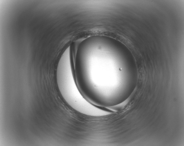 X0000066100762200603171356