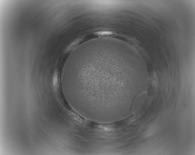 X0000066100763200603171356