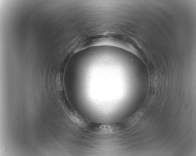 X0000066100764200603171356