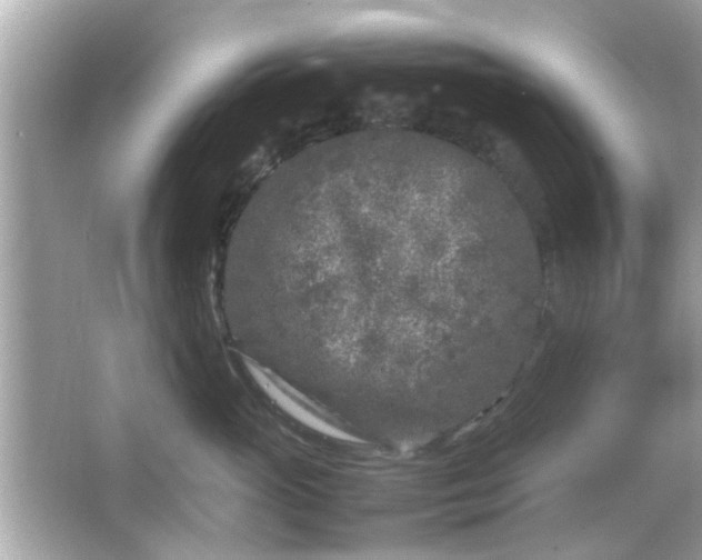 X0000066100765200603171356