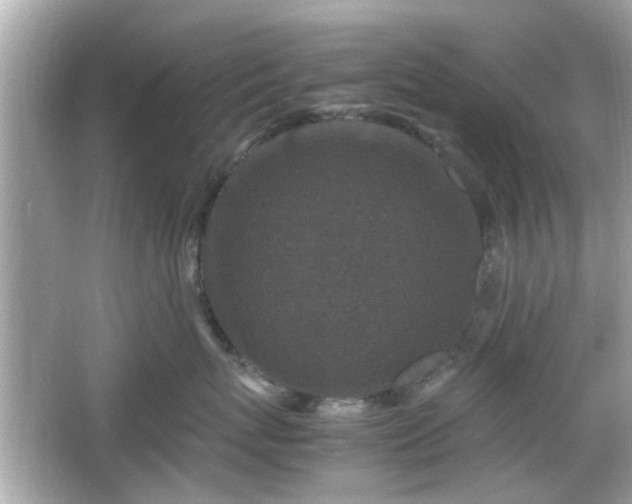 X0000066100767200603171357