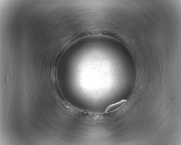 X0000066100768200603171357