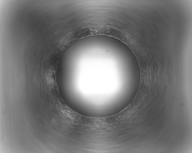 X0000066100770200603171356