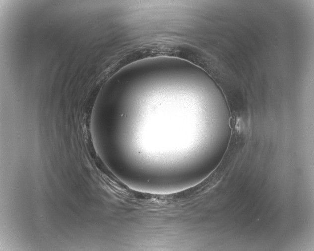 X0000066100771200603171356