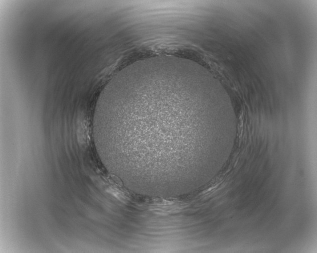 X0000066100772200603171356