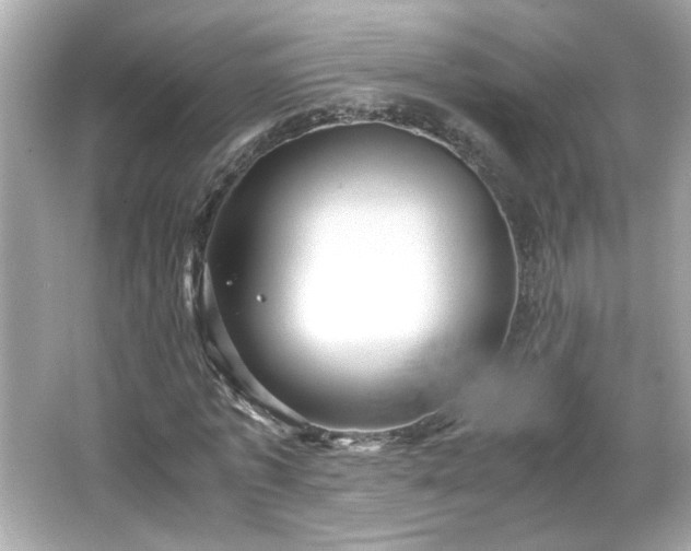 X0000066100773200603171356