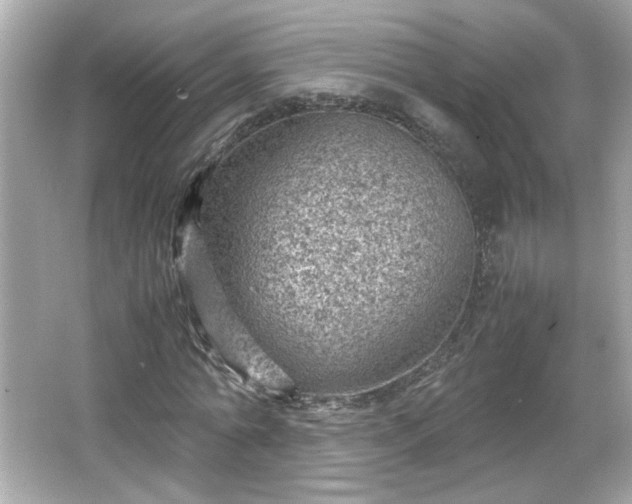 X0000066100774200603171356