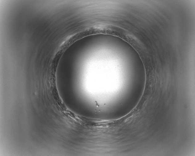 X0000066100776200603171356