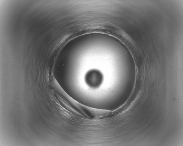 X0000066100777200603171356