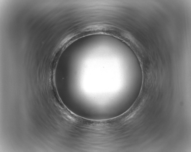 X0000066100778200603171356