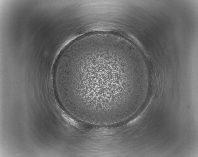 X0000066100779200603171356