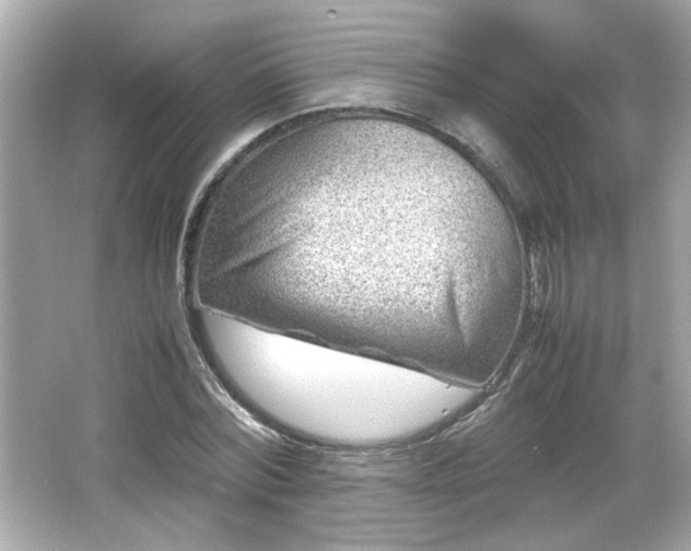 X0000066100780200603171356