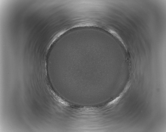 X0000066100781200603171356