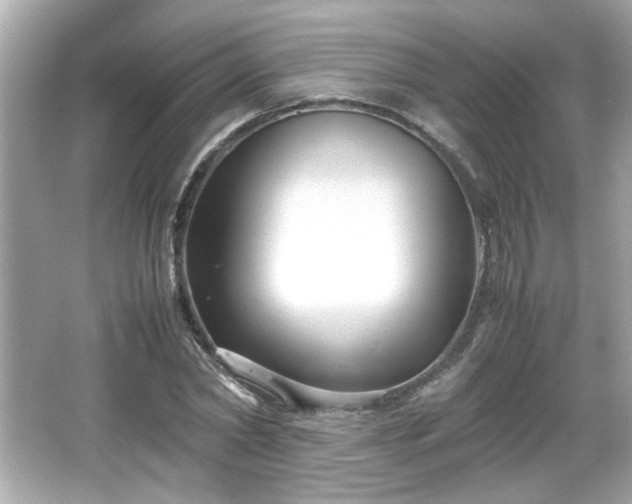 X0000066100782200603171356