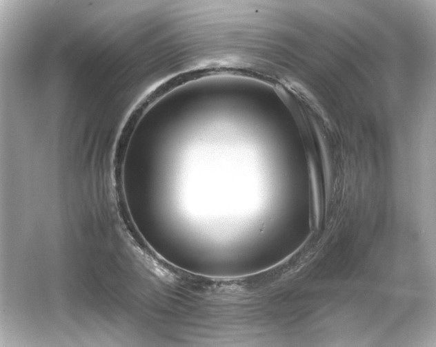 X0000066100784200603171355