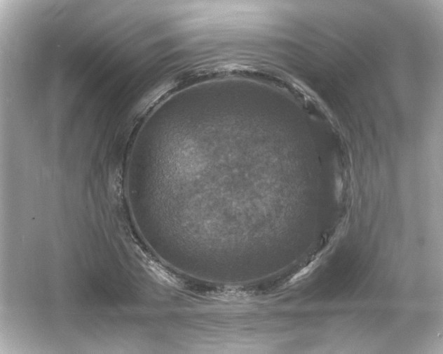 X0000066100785200603171355