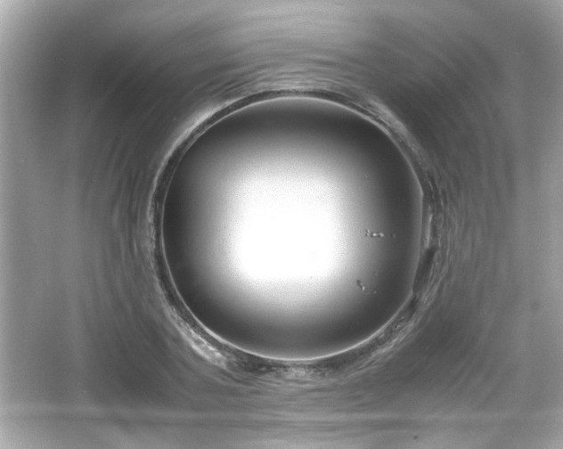 X0000066100787200603171355