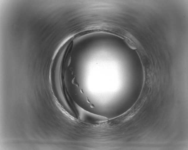 X0000066100788200603171355