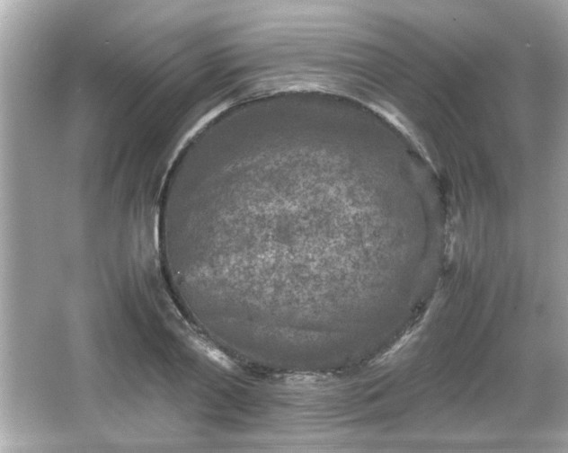 X0000066100790200603171355