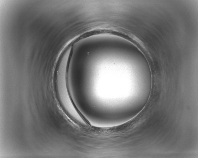 X0000066100791200603171355