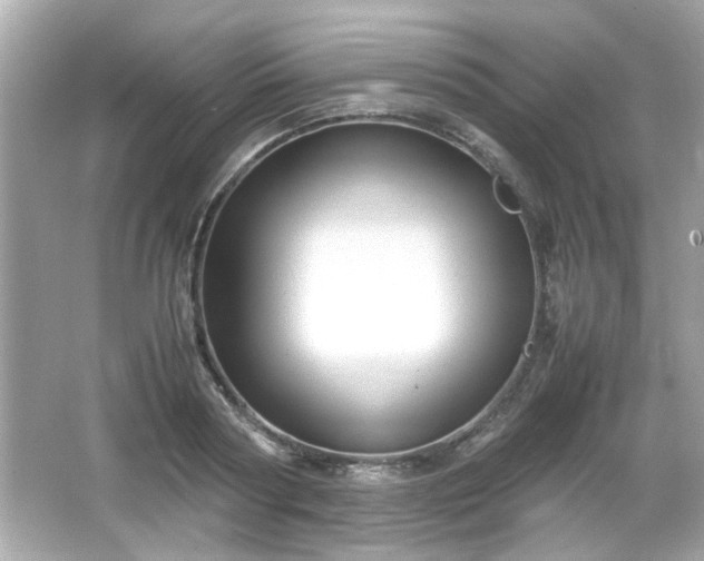 X0000066100794200603171355