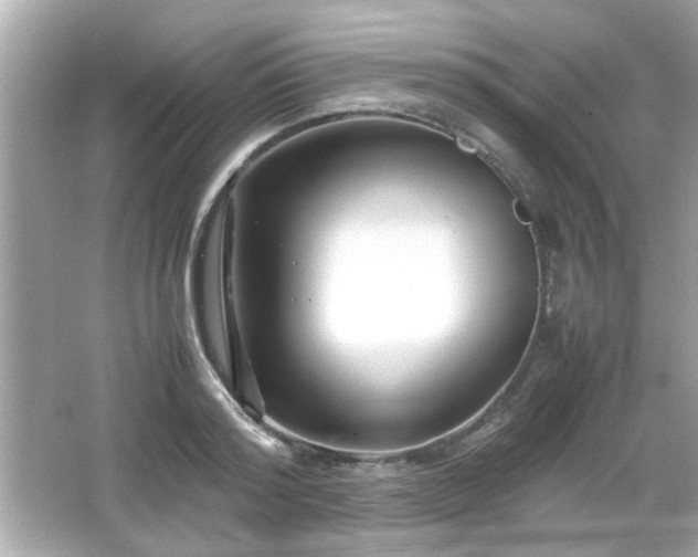 X0000066100796200603171355