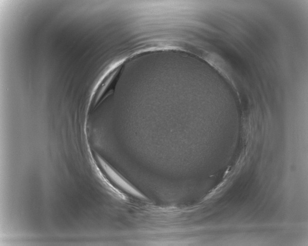 X0000066100797200603171355