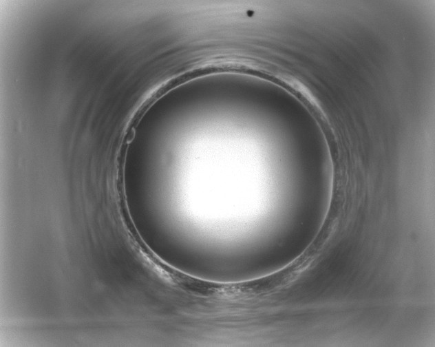 X0000066100799200603171355