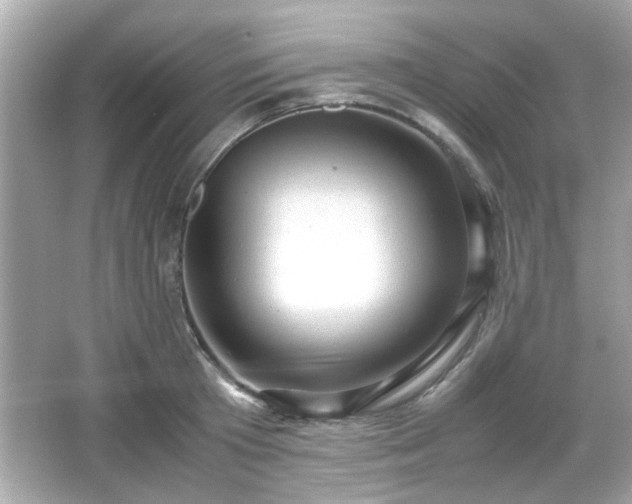 X0000066100801200603171355