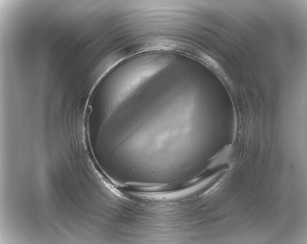 X0000066100802200603171355