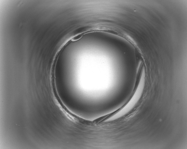 X0000066100803200603171355