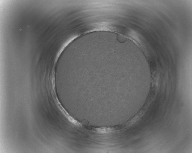 X0000066100804200603171355