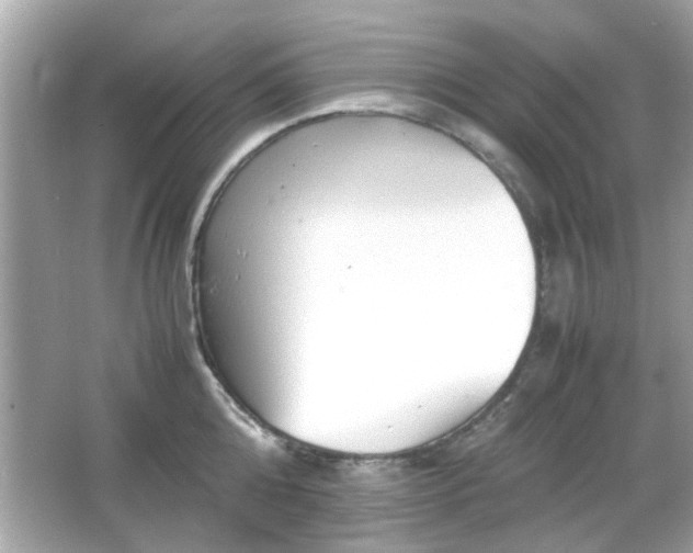 X0000066100808200603171355