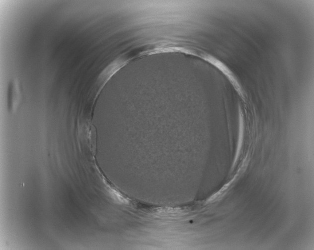 X0000066100809200603171355