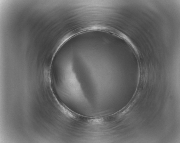 X0000066100810200603171355