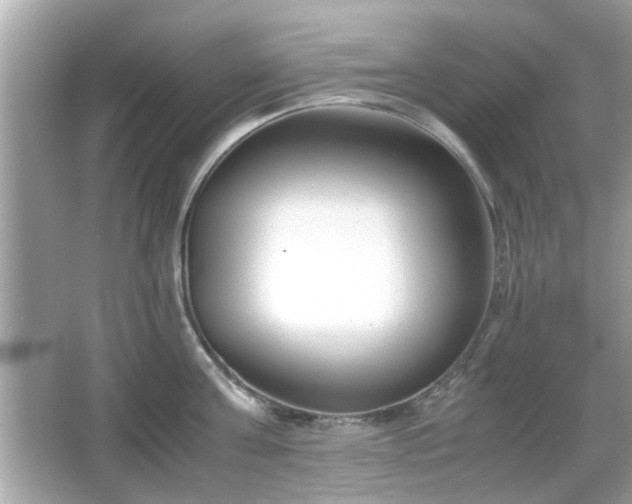 X0000066100811200603171355