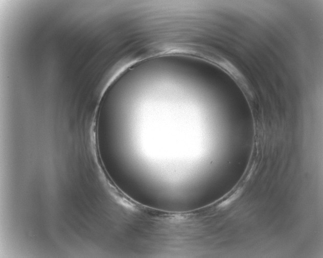 X0000066100814200603171355