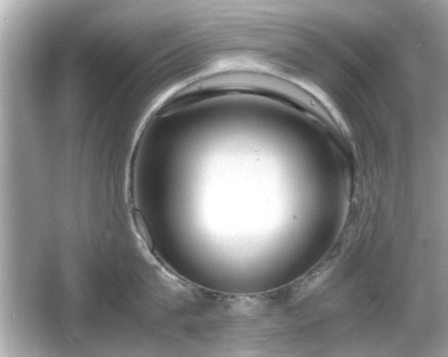 X0000066100815200603171355