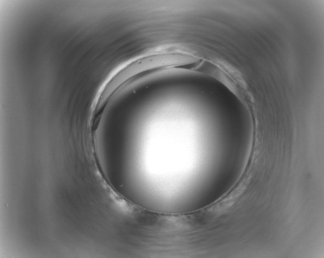 X0000066100816200603171355