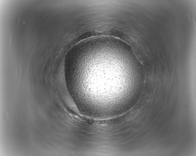 X0000066100817200603171354