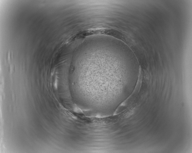 X0000066100818200603171354