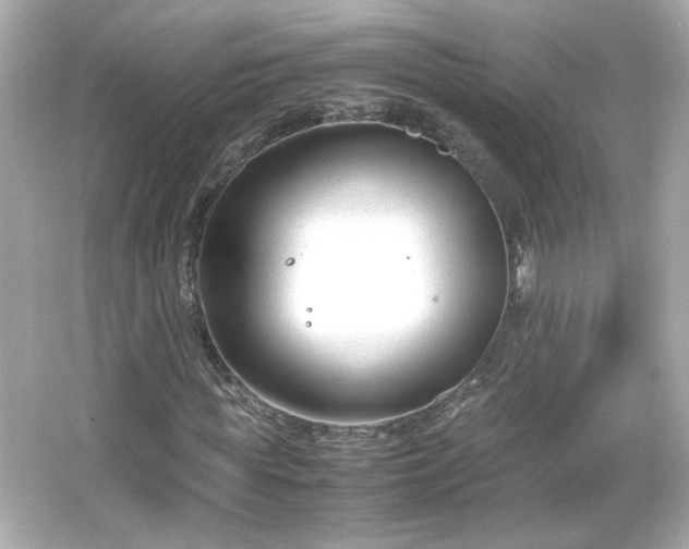 X0000066100819200603171354