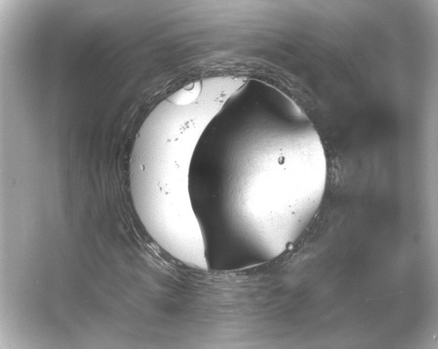 X0000066100820200603171354