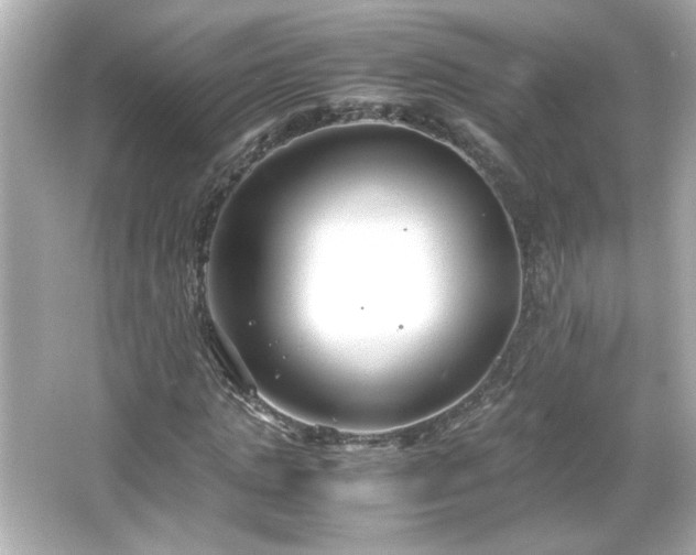 X0000066100821200603171354