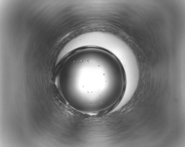 X0000066100822200603171354