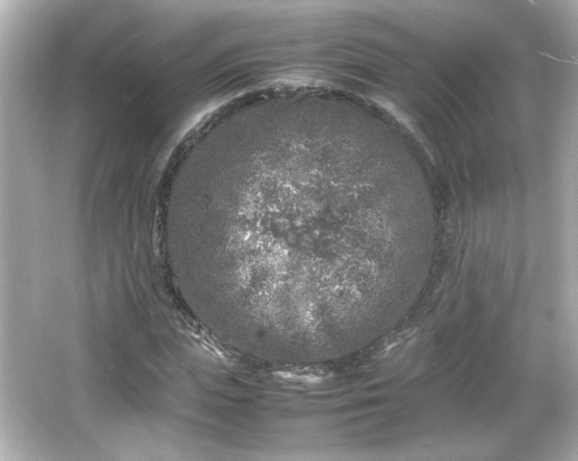 X0000066100823200603171354