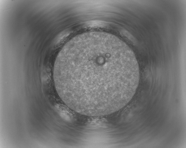 X0000066100824200603171354