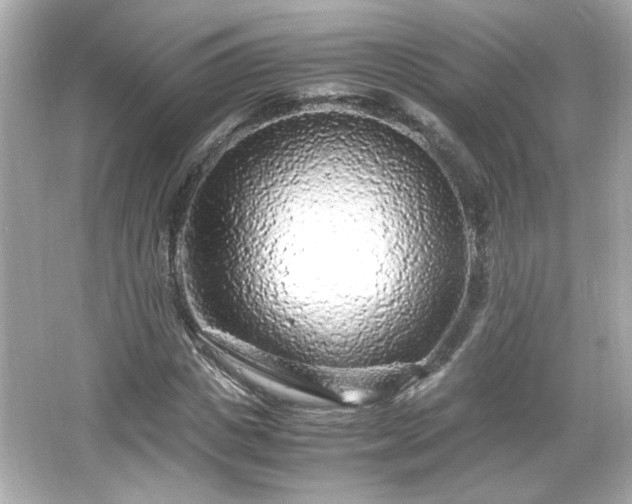 X0000066100825200603171354