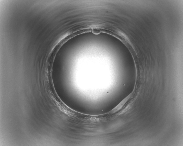 X0000066100827200603171354