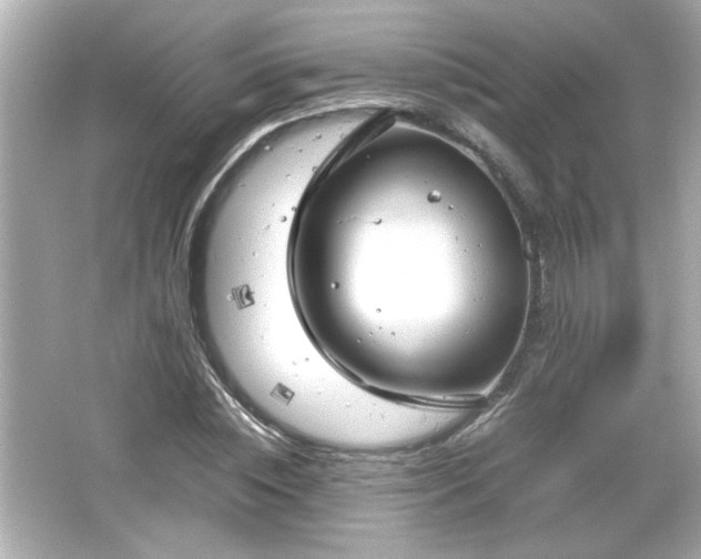 X0000066100828200603171354